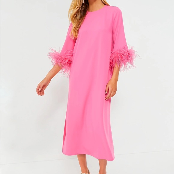 Tuckernuck Dresses & Skirts - Hot Pink Feather Jamie Dress
TUCKERNUCK
